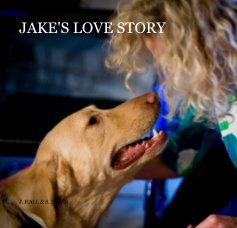 JAKE'S LOVE STORY book cover