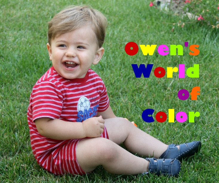 View Owen's World of Color by Susan Moffat