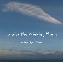 Under the Winking Moon book cover