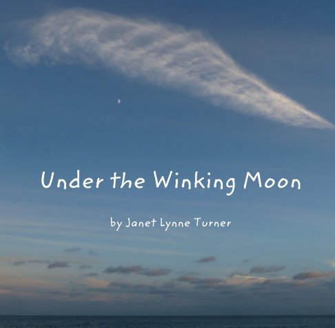View Under the Winking Moon by Janet Lynne Turner