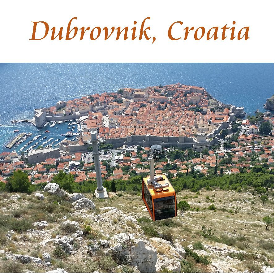 View Dubrovnik, Croatia by Vladimir Kalinin