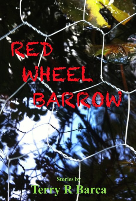 Visualizza Red Wheelbarrow di Terry R Barca