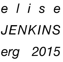 elise JENKINS erg 2015 book cover
