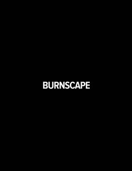 Burnscape book cover