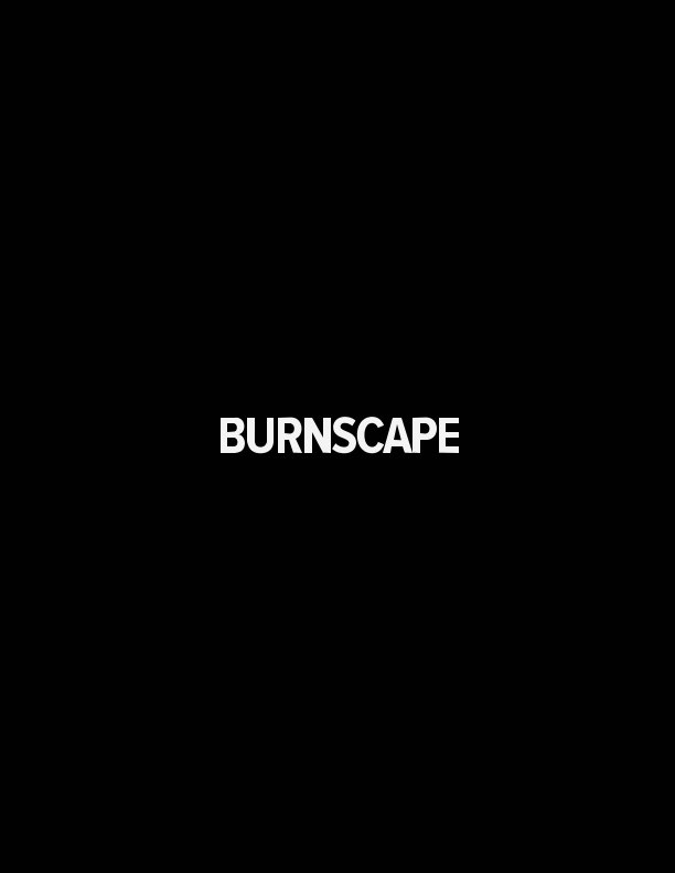 View Burnscape by Adriana Gudino