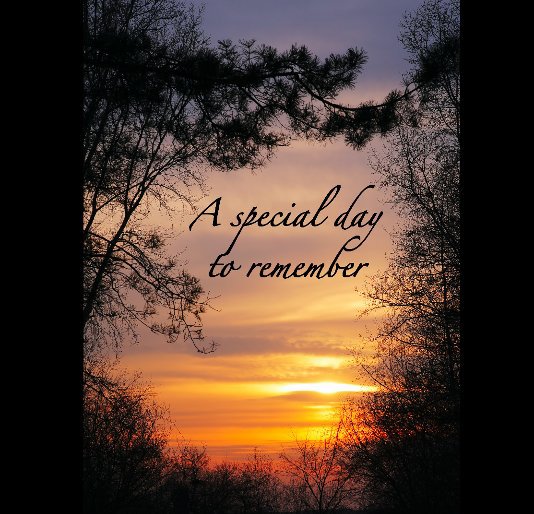 Ver A Special Day to Remember por Sylvia H. Gallegos