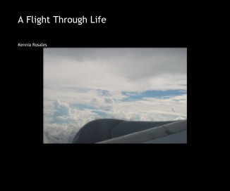 A Flight Through Life book cover