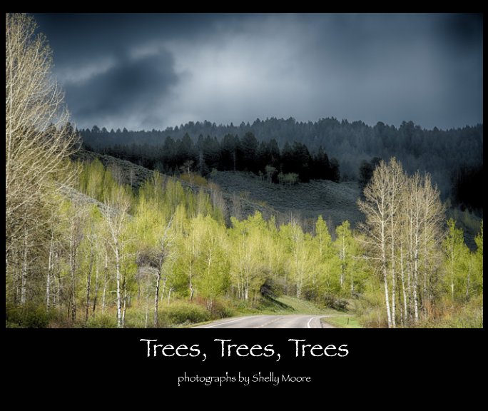 Visualizza Trees, Trees, Trees di Shelly Moore