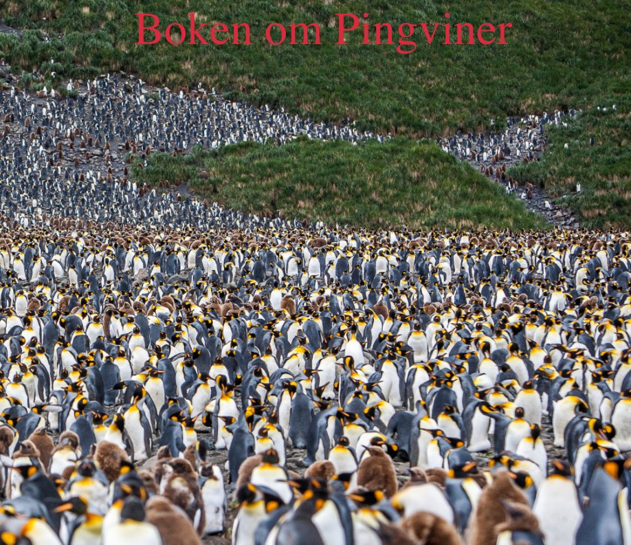 Ver Boken om Pingviner por Christer Löfgren