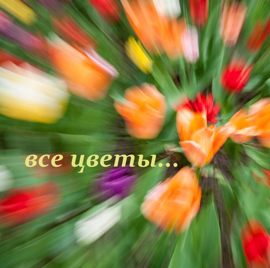 Visualizza All Flowers di Deshevoy Sergey