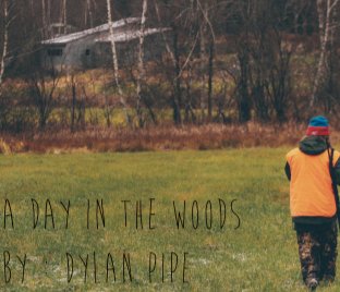 A Day in the Woods book cover