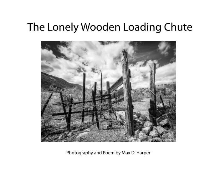 View The Lonely Wooden Loading Chute by Max D. Harper