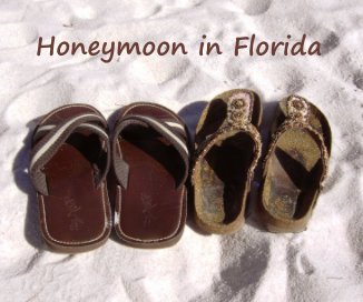 Honeymoon in Florida book cover