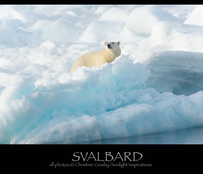 View Svalbard 2015 (2) by Christine Crosby
