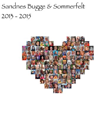 Sandnes Bugge Sommerfelt 2013 - 2015 book cover