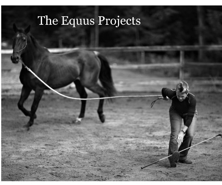 Ver The Equus Projects por JoAnna Mendl Shaw