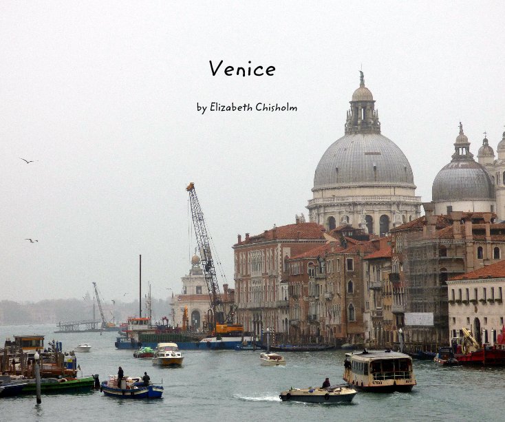View Venice by Elizabeth Chisholm