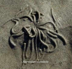 Norwegian wormhole book cover
