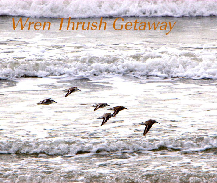 View Wren Thrush Getaway by Philip D. Madarasz