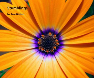 Stumblings book cover