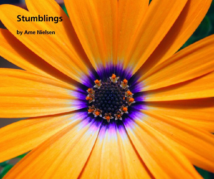 Visualizza Stumblings di Ame Nielsen