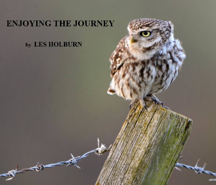 View Enjoying the Journey by Les Holburn