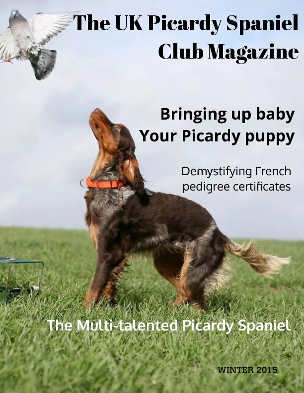 Bekijk The UK Picardy Spaniel Club Magazine op Nicky Hutchison