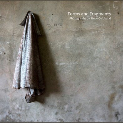 Forms and Fragments Photographs by Steve Goldband book cover