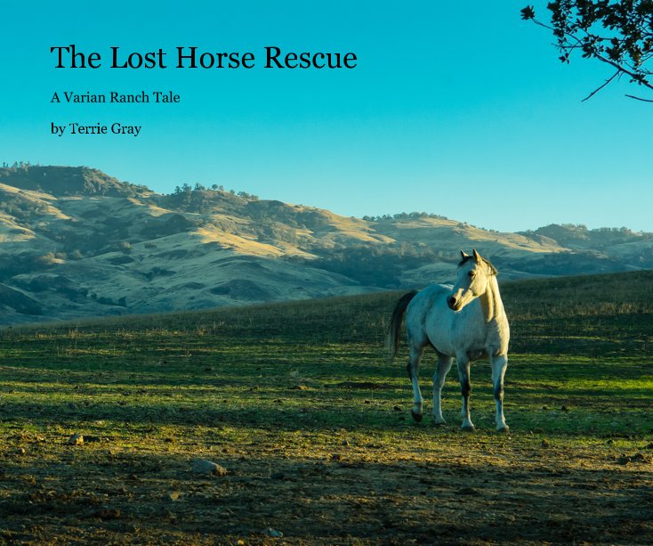View The Lost Horse Rescue by Terrie Gray