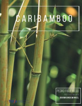 Caribamboo book cover