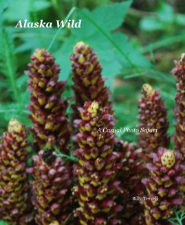 Alaska Wild book cover