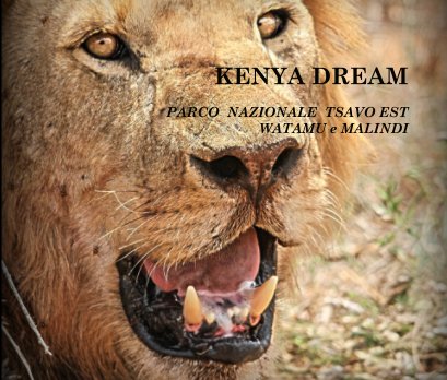 KENYA DREAM  PARCO  NAZIONALE  TSAVO EST   WATAMU e MALINDI book cover