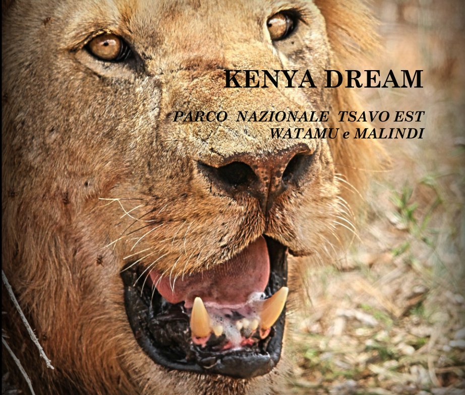 View KENYA DREAM  PARCO  NAZIONALE  TSAVO EST   WATAMU e MALINDI by Silvio Piccinini