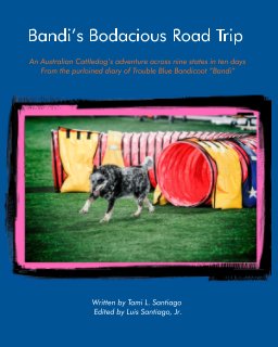 Bandi’s Bodacious Road Trip book cover