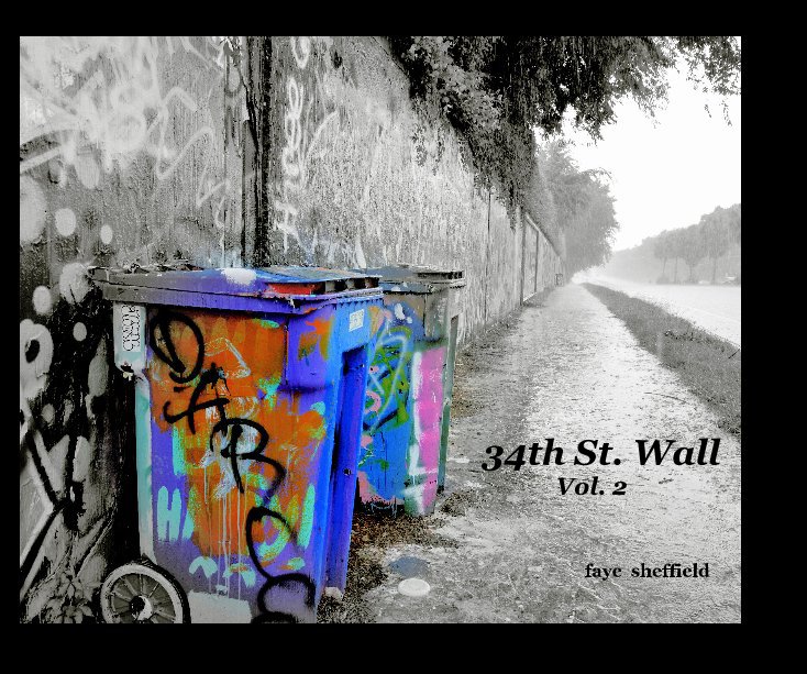 Bekijk 34th St. Wall Vol. 2 op faye sheffield