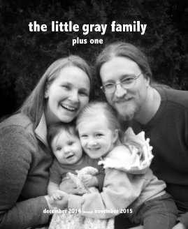 the little gray family book cover
