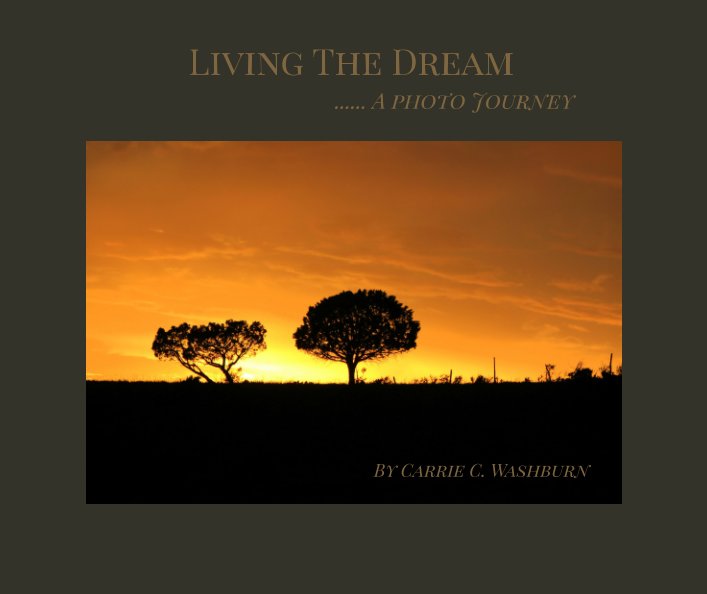 Visualizza Living The Dream di Carrie C. Washburn