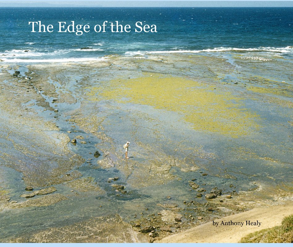 View The Edge of the Sea by Anthony Healy