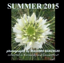 SUMMER 2015 book cover