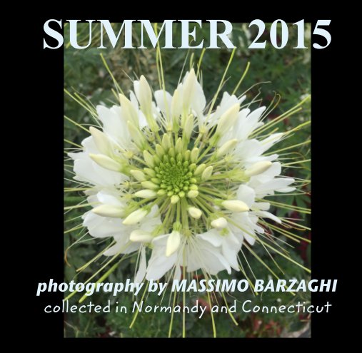 Ver SUMMER 2015 por photography by MASSIMO BARZAGHI