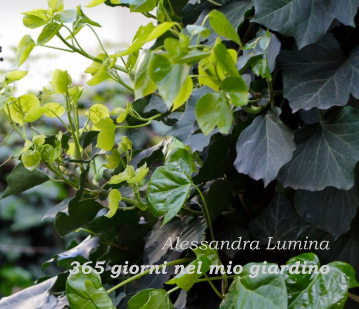 Ver 365 giorni nel mio giardino por Alessandra Lumina