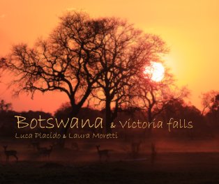 Botswana & Victoria Falls book cover
