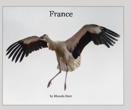 France book cover