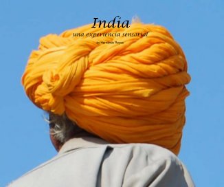 INDIA una experiencia sensorial book cover