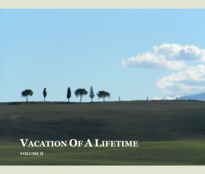 VACATION OF A LIFETIME, Vol II book cover