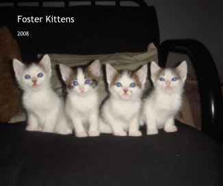 Kittens book cover