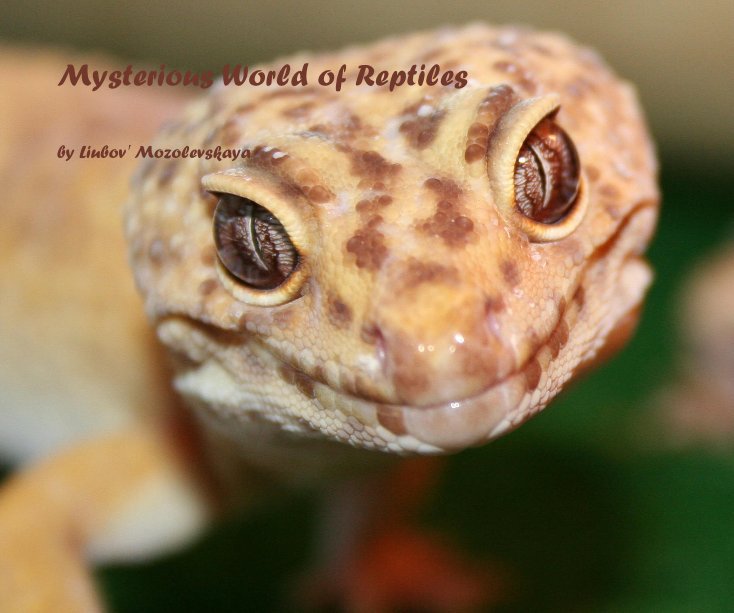 Ver Mysterious World of Reptiles por Liubov' Mozolevskaya