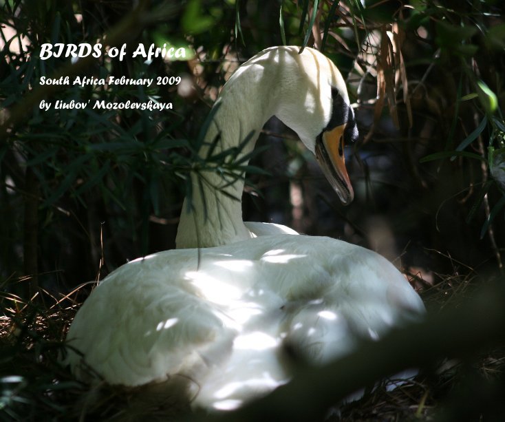 Ver BIRDS of Africa por Liubov' Mozolevskaya
