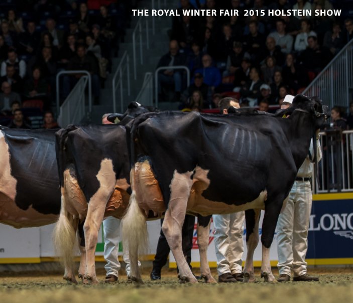 Visualizza The Royal Winter Fair 2015 Holstein Show di The Bullvine