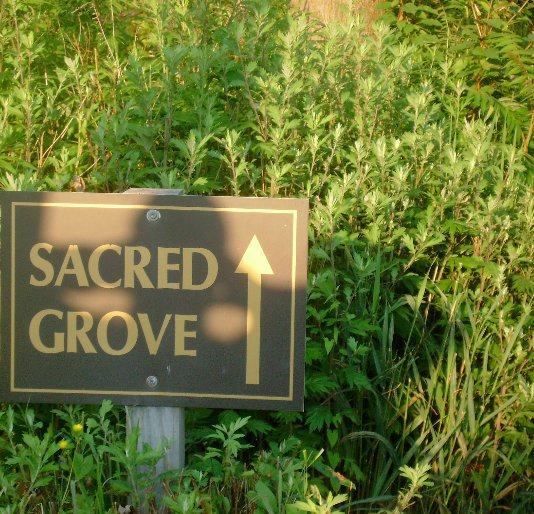 View Sacred Grove by Joseph Smith, Pictures by Bobbie Carroll